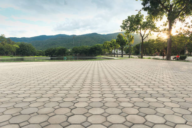 Best Local Driveway Pavers  in Duluth, GA